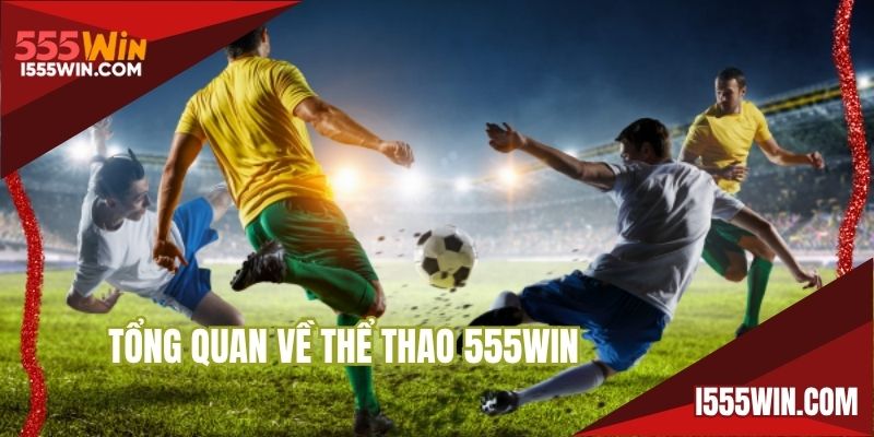 Một vài thông tin khái quát về sân chơi thể thao 555WIN